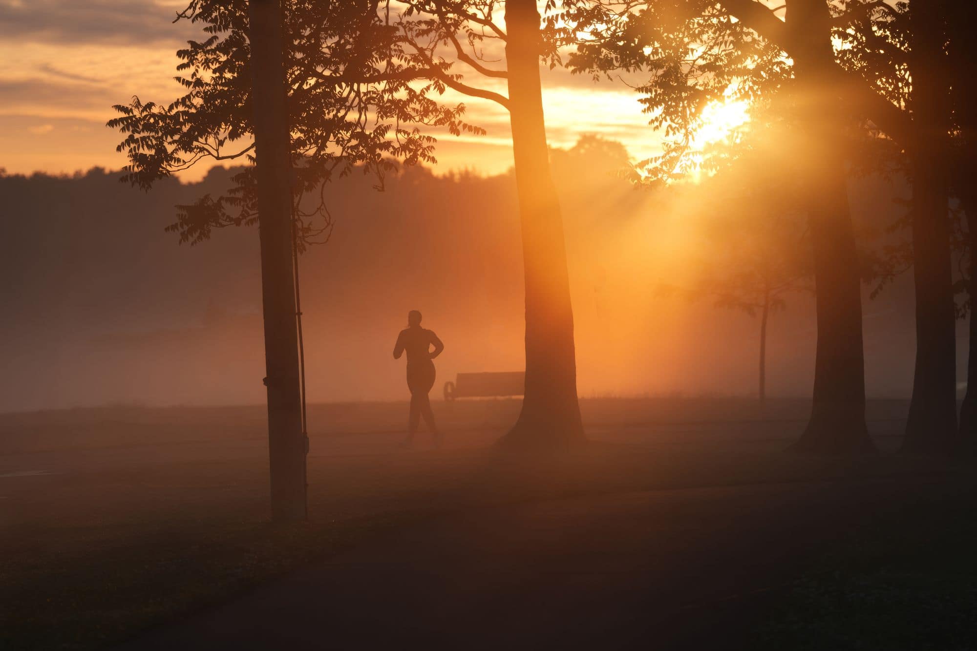 Un coureur dans un parc brumeux au lever du soleil